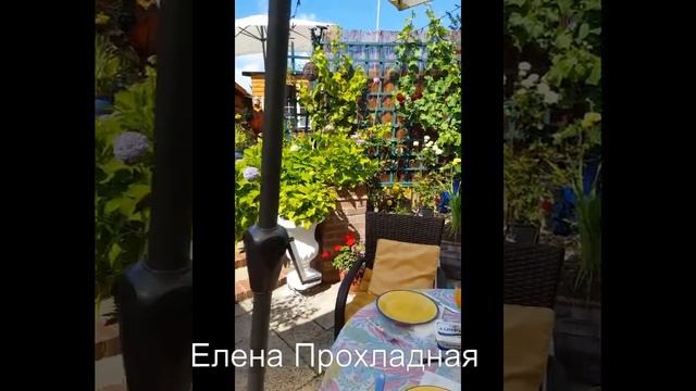 1. МАМИН САД В АНГЛИИ / English garden