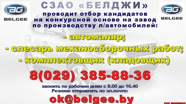 БЕЛДЖИ вакансии смотреть онлайн