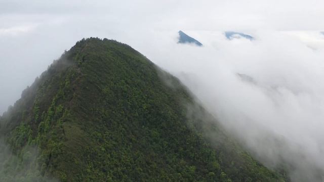 ДОЧЬ пастуха пропала в лесу, все думали что девочку РАСТЕРЗАЛИ ВОЛКИ, но всё случилось по другому.. смотреть онлайн