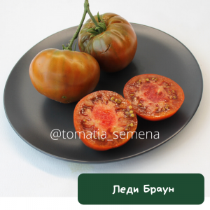 Леди Браун
