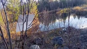 главпатрон " на охоту" из Иж 18 и помпы фабарм
