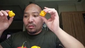 Trinidad Moruga Scorpion Red and. Yellow Pod Review Comparison