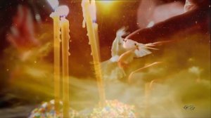 "Белая РОЩА"-