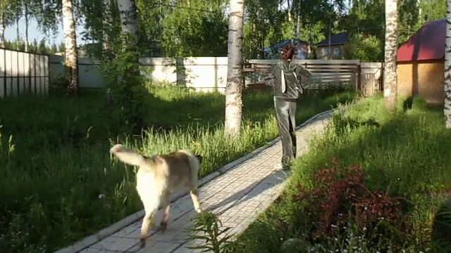 Аликина Ирина, Березники, Пермский Край смотреть онлайн