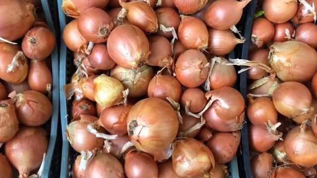 Даже один РЕПЧАТЫЙ ЛУК вызывает НЕОБРАТИМЫЙ процесс в организме смотреть онлайн