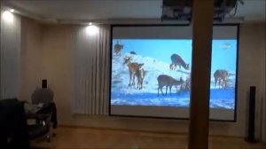 #проектор #экран #кино Как правильно установить видеопроектор?