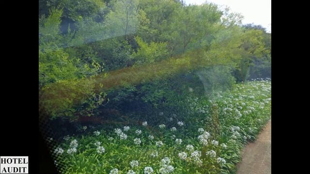 Южная Африка Ньюлендс Kirstenbosch National Botanical Garden 7 1 смотреть онлайн