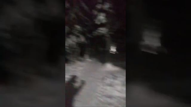 16 часов вечера я в лесу смотреть онлайн