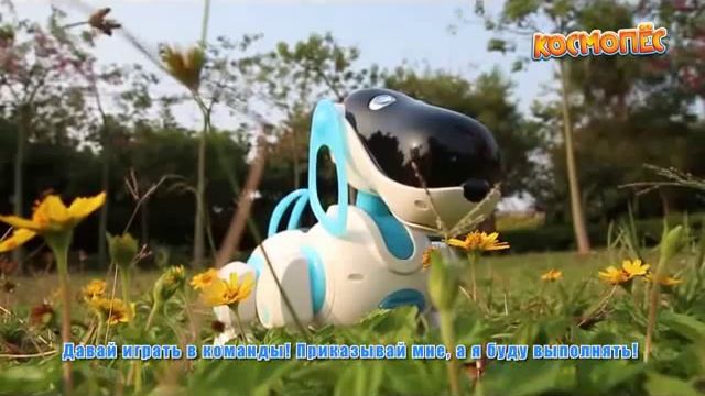 Интерактивный "КосмоПес" игрушки оптом ЕССА ТОЙС
