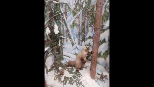 Ролик - я в Вологде в лагере "Импульс"