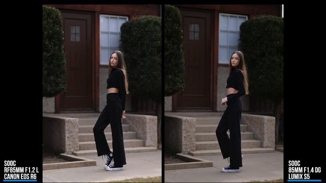 Blind Test: Lumix S5 Sigma 85mm F1.4 vs Canon R6 RF85mm F1.2 L (Can you guess all correctly?) смотреть онлайн