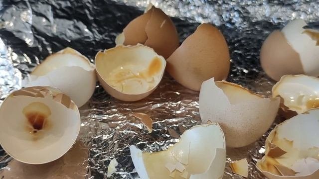 Экоудобркние своими руками. Чем подкормить рассаду. Полезное и бесплатное удобрения для растений.