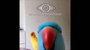 Успешные отрасли в России и государство | Ватоадмин