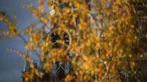 Синоптик Шувалов: бабье лето придет в Центральную Россию после 19 сентября