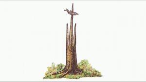 Что такое Рожон?