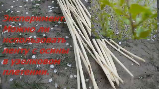 тополь на ленту смотреть онлайн