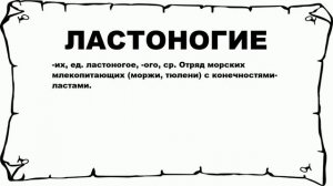 ЛАСТОНОГИЕ - что это такое? значение и описание