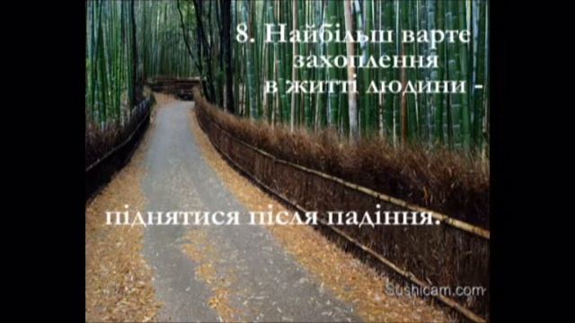 14 Заповедей Будды - 14 Zapovedey Buddy смотреть онлайн