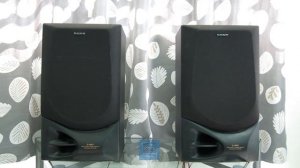 Sony SS-LB300  3-Way Twin Duct/Bass Reflex Speaker Sound Test