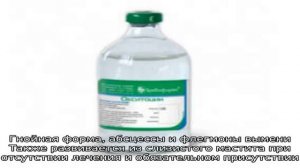 Все про мастит и его лечение у коров