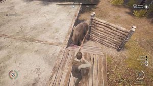 Medieval Dynasty 1.5.1.2.  Охота на Зубра вариант №1