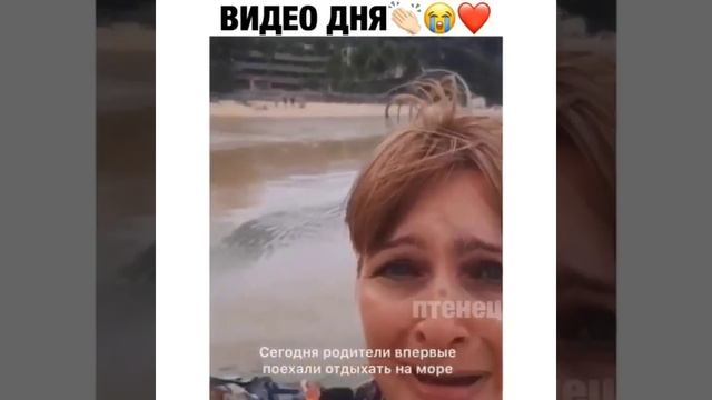 Когда решил постирать мягкую игрушку. Мир не без добрых людей. Шедевр. Интересное видео #5. смотреть онлайн