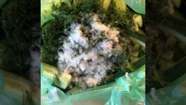 Хрустящие огурцы ?малосольные в пакете #огурцы