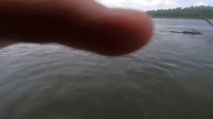 РЫБАЛКА В АСТРАХАНИ 25.07.2023. ЧАСТЬ 10. ТРЕХРЕЧЬЕ. ПАРОМ ХАРАБАЛИ. НОСТАЛЬГИЯ. СУДАК АТАКУЕТ.