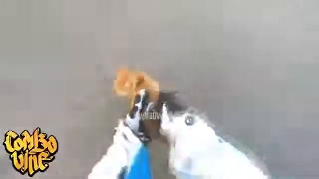 Мото комбо вине (у этого парня ест чему научиться) смотреть онлайн