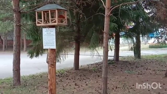 Белочки/Что для Белок ЯД!? смотреть онлайн