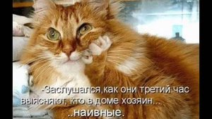 А хотите-я согрею вам душу ?!