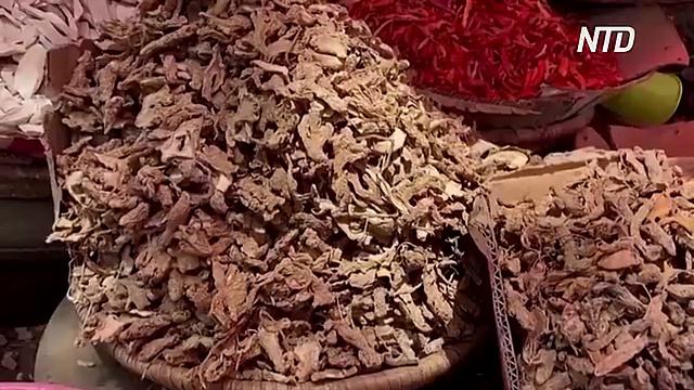Выращивание имбиря стало прибыльным делом в период пандемии