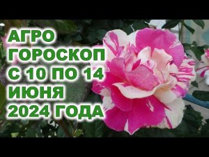 Агрогороскоп с 10 по 14 июня 2024 года Agrohoroscope from June 10 to June 14, 2024