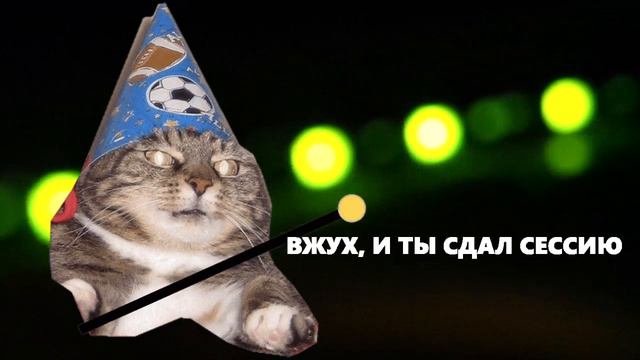 Котенок ВЖУХ и его пожелания: