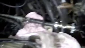 Как замерить давление в рампе, у любой или почти любой машины.