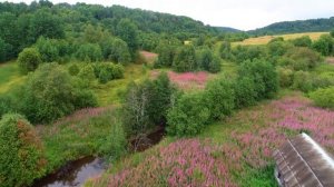 Природный парк «Вепсский лес»