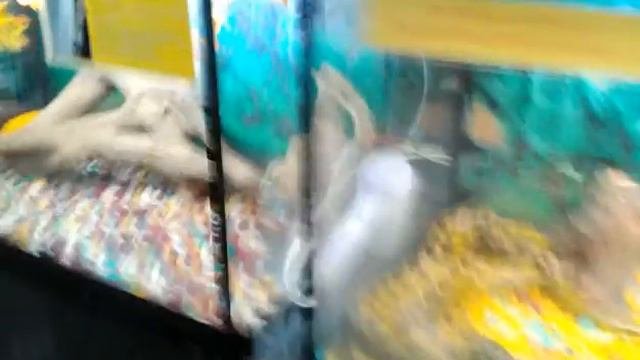 Зоопарк В Тимашевске