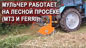 Решает проблемы с уничтожением деревьев - мульчер Ferri