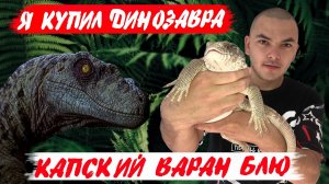 Я купил ДИНОЗАВРА. Распаковка КАПСКОГО ВАРАНА.mp4