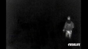 Заяц в тепловизоре | Атака русака!!!