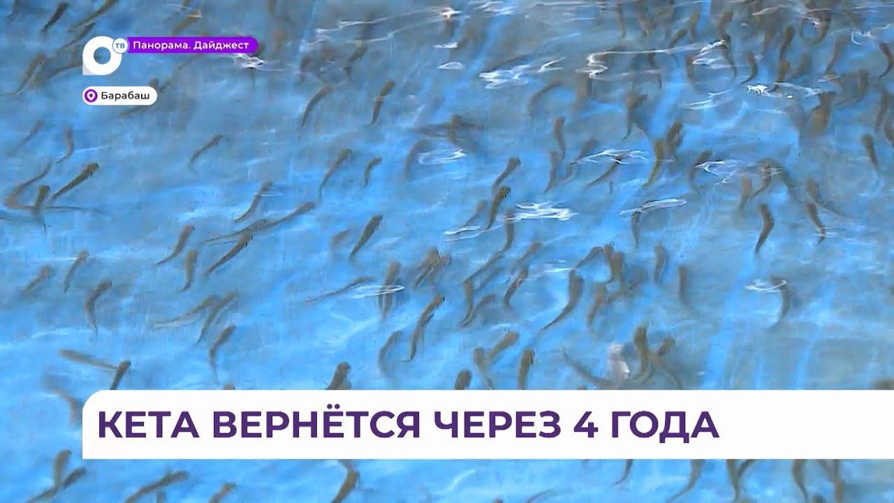 ВМТП принял участие в акции «Сохраним лосось!»