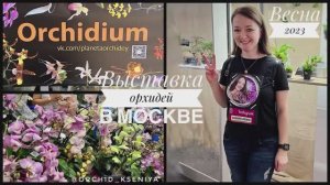 Орхидиум - весна 2023 | Выставка орхидей в Москве | Суккуленты, лиственные, грунты, горшки,препараты