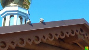 СВЯТЫЕ ИСТОЧНИКИ ТАШЛА И ПИСКАЛЫ
