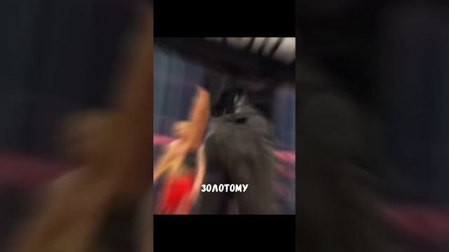 Анатолий Сульянов испугался ребёнка #mma