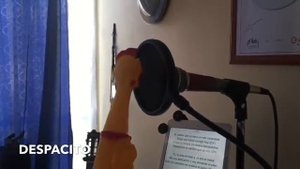 Резиновая курица поет лучше меня ? (Despacito ?)