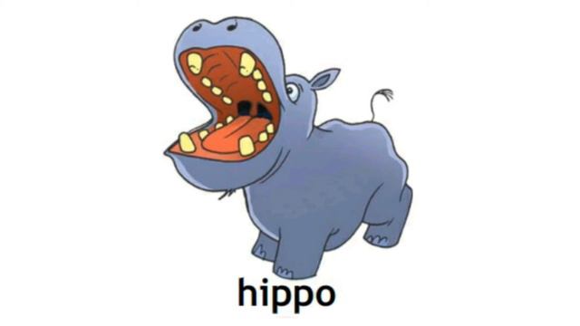 How to Pronounce Hippo in British English
