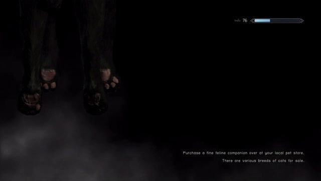 Skyrim 4 วิธีแก้การติดเชื้อ Vampire ให้หายขาด100% смотреть онлайн