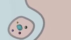 Питание инфузории