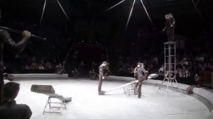 Лучшие цирковые номера: Цирк Братьев Запашных - «Цепные псы»