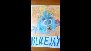 Bluejay 5678 is the best